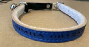 Gepersonaliseerde blauw leren kattenhalsband