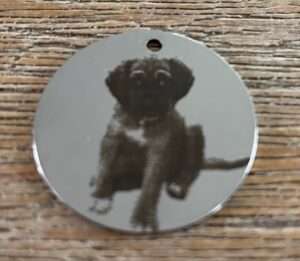 Foto van je huisdier rvs hondenpenning zilver 30mmx30mm met tekst achterop