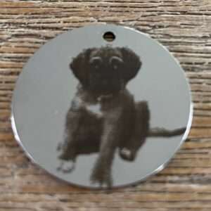 Foto van je huisdier rvs hondenpenning zilver 30mmx30mm met tekst achterop