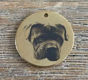 Foto van je huisdier rvs hondenpenning goud 30mmx30mm met tekst achterop