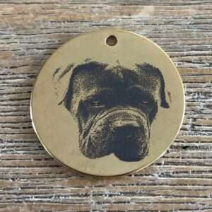 Foto van je huisdier rvs hondenpenning goud 30mmx30mm met tekst achterop