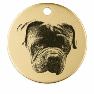 Foto van je huisdier- rvs- hondenpenning- goud- 30mmx30mm- met tekst achterop