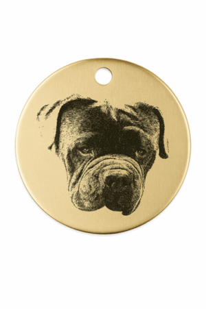 Foto van je huisdier- rvs- hondenpenning- goud- 30mmx30mm- met tekst achterop