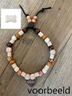 ketting-met-penning-zilver bot