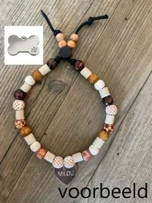 ketting-met-penning-zilver bot diamant