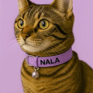 kattenhalsbandje met naam
