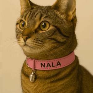 kattenhalsbandje met naam