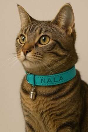 kattenhalsbandje met naam
