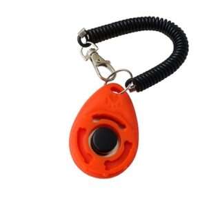 trainingsklikker voor honden oranje